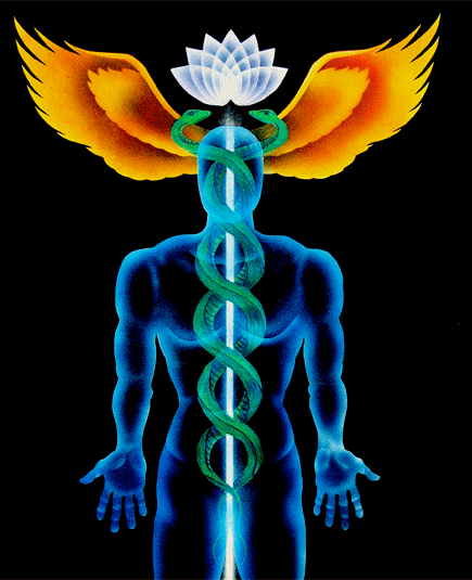 Chakras, Caduceus, Polarity Therapy, Subtle Body, Energy
        Body