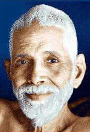 Self Realization Enlightenment